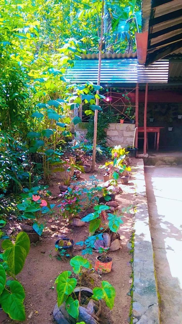 Ella Kumi Hostel 외부 사진